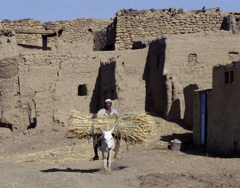 成年人,横图,苏丹,房屋,家畜,运输,摄影,伊斯兰教,运送,棕榈叶,驴子,撒哈拉沙漠,男人,彩图