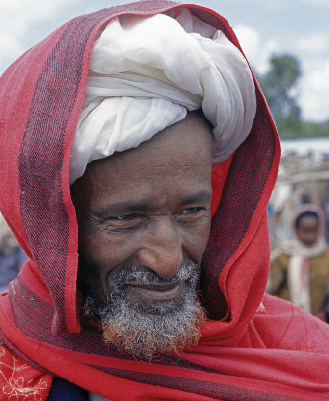 无人,横图,室外,海鸟,野生动物,信天翁,一群,许多,鸟类,鸟巢,悬崖,很多,小鸟,动物,大西洋,摄影,福克兰群岛,黑眉信天翁,彩图,大海鸟