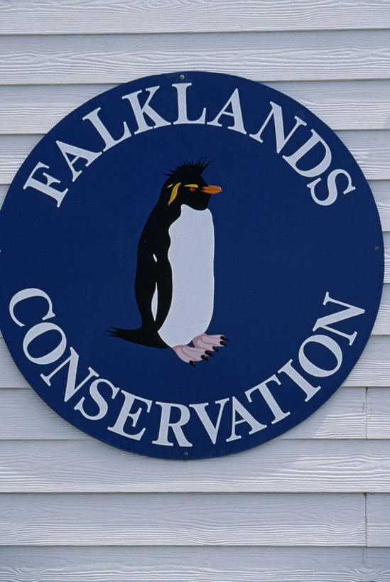 无人,竖图,企鹅,标志,符号,摄影,徽章,福克兰群岛,彩图