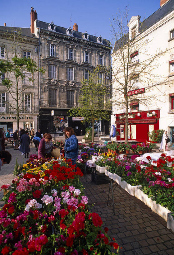 商店,广场,竖图,彩色,旅游,商务,消费,城市,法国,欧洲,市场,货摊,闻,花,风景,社区,摄影,生活方式,五颜六色,色彩斑斓,五彩缤纷,贸易,法国文化,卢瓦尔河谷,五彩斑斓,五光十色,索米尔,彩图,旅行,传统文化