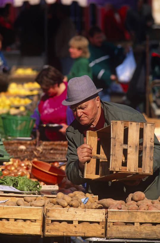 无人,横图,海洋,野生动物,蜥蜴,厄瓜多尔,鬣蜥,自然,动物,摄影,考古学,石龙子,泉龙,猪婆蛇,四脚蛇,蜴,海鬣蜥,加拉帕戈斯群岛,圣克鲁斯岛,彩图