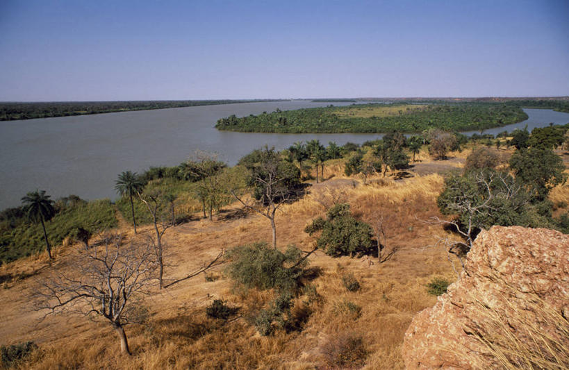 无人,横图,室外,旅游,度假,河流,美景,植物,鸟岛,非洲,冈比亚,太空,岛,地形,景观,热,娱乐,树,自然,享受,休闲,景色,放松,摄影,自然风光,西非,彩图