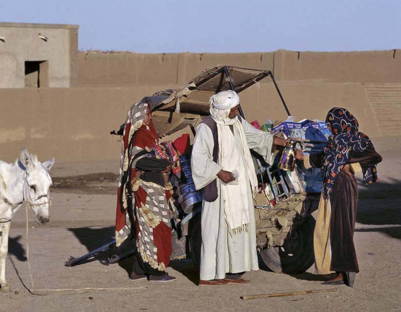 横图,商务,苏丹,市场,货摊,顾客,工人,零售,运输,摄影,伊斯兰教,销售,贩卖,贸易,驴车,驴子,撒哈拉沙漠,商人,员工,彩图,匠人,劳动者,体力工