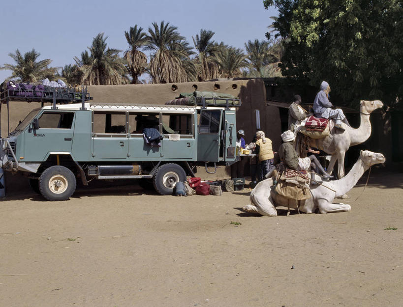 成年人,一个人,竖图,室外,沙漠,苏丹,仅一个男性,沙子,骆驼,家畜,摄影,牲畜,伊斯兰教,肖像,撒哈拉沙漠,男人,彩图,独处,栋古拉