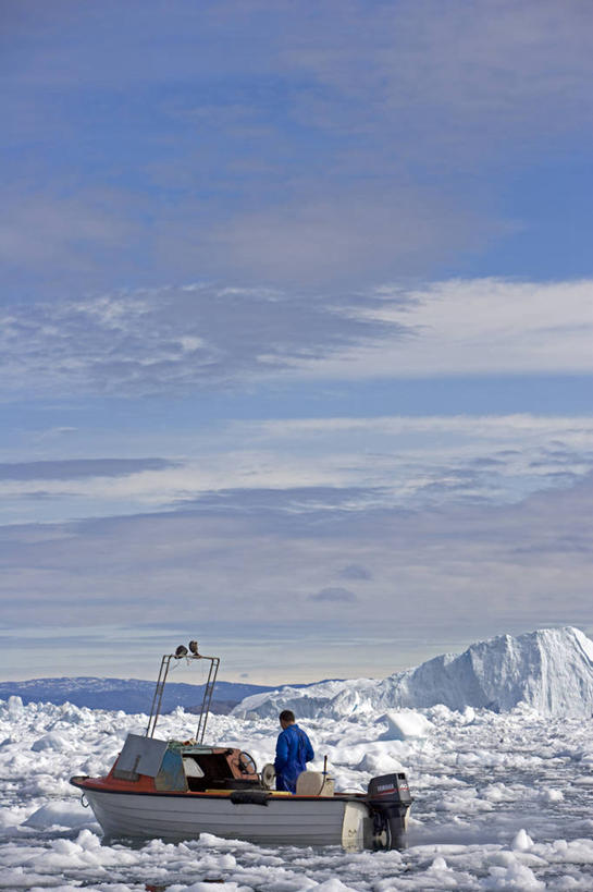 无人,横图,室外,瀑布,森林,水,澳大利亚,自然,摄影,环境,国家公园,塔斯马尼亚,纯净,彩图