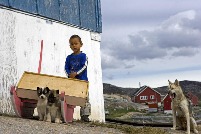 儿童,一个人,微笑,横图,室外,纯洁,北极,美景,狗,欧洲,仅一个男性,仅一个人,房屋,景观,乡村,小狗,北,小孩,自然,动物,仅一个小孩,景色,可爱,童年,童趣,摄影,气象,住房,气候,自然风光,雪橇犬,童真,烂漫,无邪,狗屋,天真,男孩,男人,男性,孩子,彩图,小木屋,小屋,男生