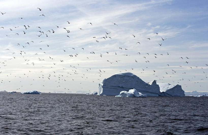 无人,横图,室外,北极,冰山,全球变暖,日光,欧洲,冰,海岸线,北,冰川,寒冷,摄影,气象,环境,气候,冰河,彩图