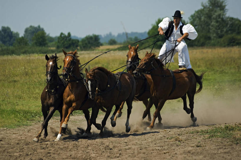 成年人,一个人,牛仔,竖图,室外,运动,草原,美景,马,欧洲,仅一个男性,表演,骑马,地形,景观,陆地,城镇,骑,风景,自然,景色,摄影,展览,缰绳,国家公园,自然风光,鞭子,马具,匈牙利共和国,男人,彩图