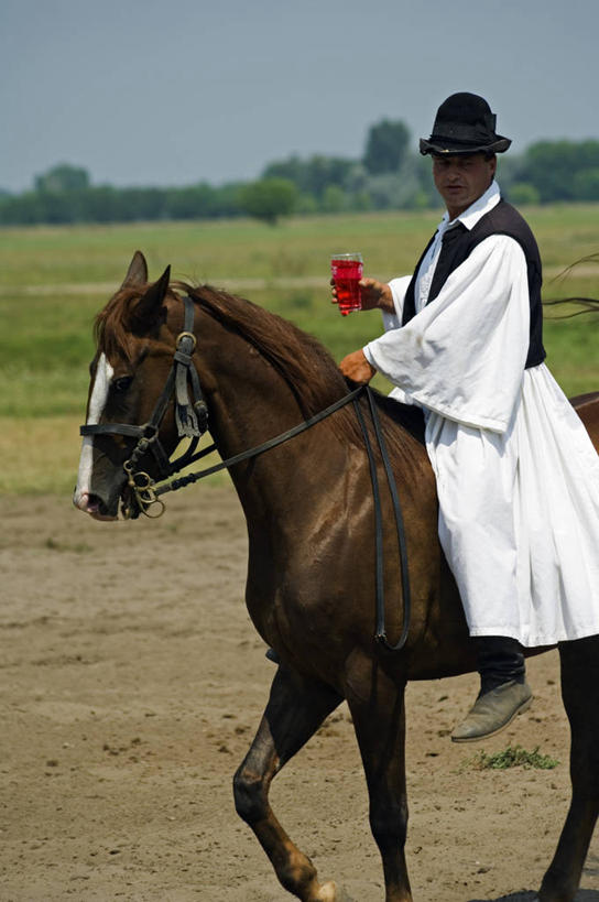 成年人,一个人,牛仔,竖图,室外,运动,草原,美景,马,欧洲,仅一个男性,表演,骑马,地形,景观,陆地,城镇,骑,风景,自然,景色,摄影,展览,缰绳,国家公园,自然风光,鞭子,马具,匈牙利共和国,男人,彩图