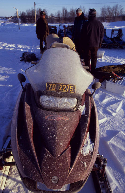 横图,室外,北极,雪,狗,瑞典,冰,冬天,极限运动,寒冷,运输,摄影,雪橇犬,彩图