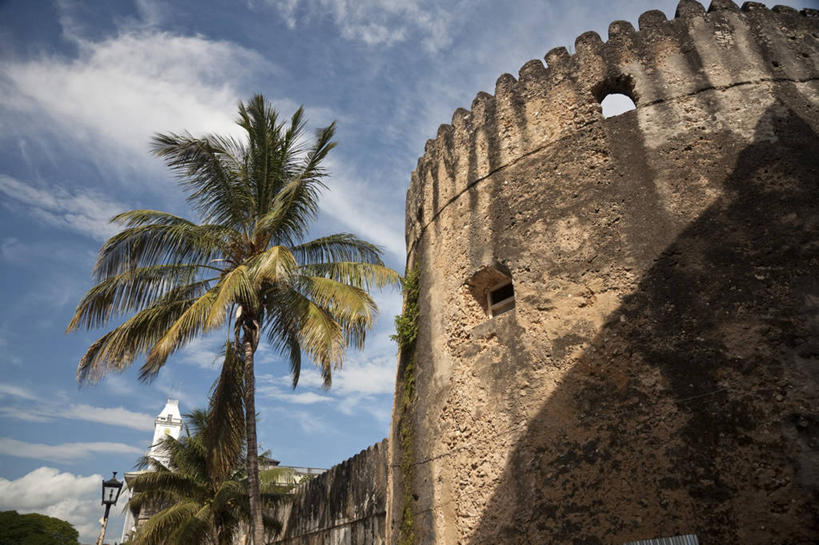 横图,室外,北极,雪,狗,瑞典,冰,冬天,极限运动,寒冷,运输,摄影,雪橇犬,彩图