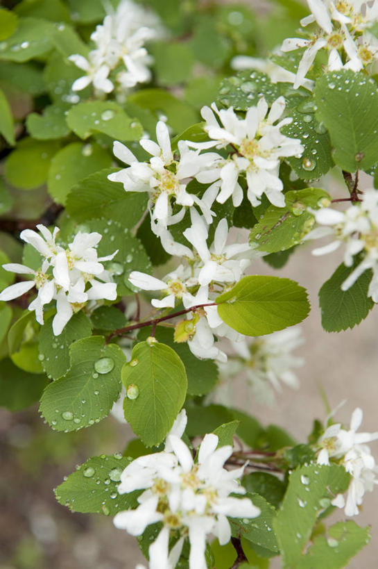 成年人,同事,微笑,横图,室外,毛衣,成功,运动,合作,团队,集体,信心,湖,山脉,雪,瑞士,冰,队伍,衣服,红色,寒冷,摄影,领导,成就,合伙,领袖,冬季运动,男人,彩图,传统文化,板球运动员