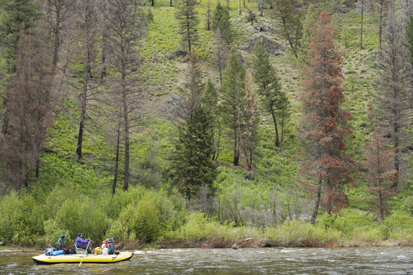 横图,室外,旅游,度假,自由,河流,水,船,美国,极限运动,摄影,活动,漂流,桨,彩图,旅行