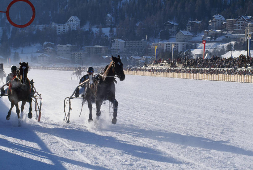 跑,横图,室外,锻炼,快乐,风险,比赛,运动,竞争,湖,雪,马,瑞士,冰,冬天,娱乐,休闲,滑雪场,摄影,迅速,雪橇,体育运动,冬季运动,获胜,体育,赛马,彩图,健身,策骑者,骑师,赛马骑师