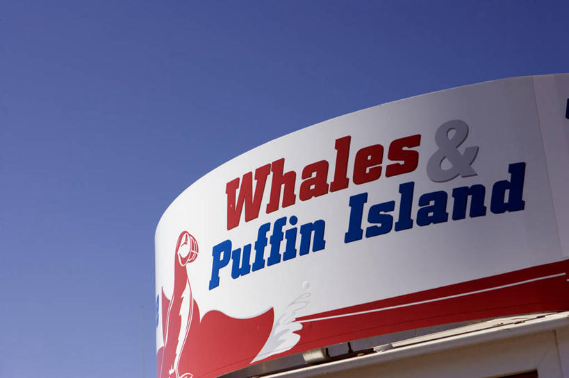 无人,导游,横图,彩色,旅游,度假,探险,北极,野生动物,欧洲,冰岛,环保,岛,首都,娱乐,蓝色,天空,自然,邮轮,享受,休闲,放松,摄影,鲸,能源,气象,五颜六色,环境,生态,色彩斑斓,回收,考古学,资源,气候,北欧,五彩缤纷,利用,低碳,循环,北半球,游艇码头,万里无云,五彩斑斓,持续,雷克雅未克,五光十色,彩图,旅行,海港