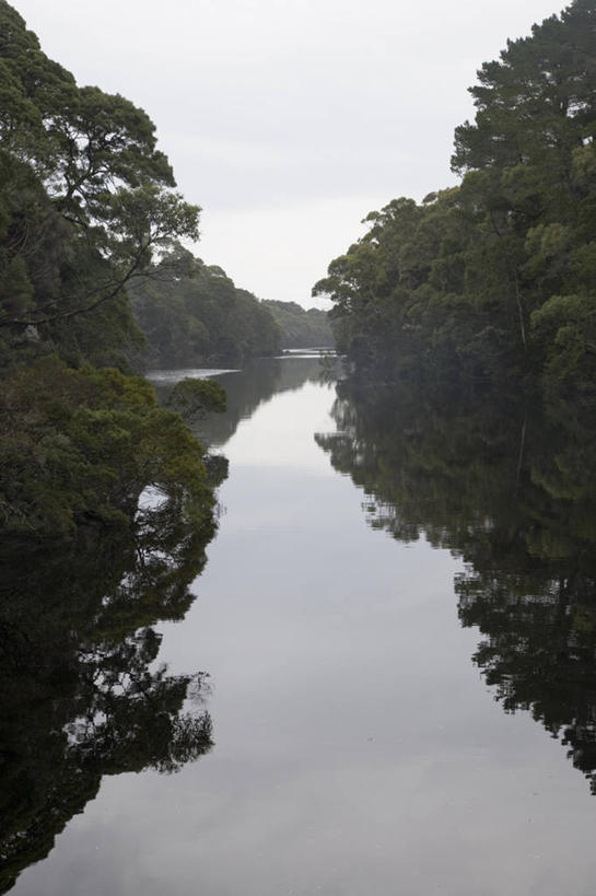 无人,横图,室外,采矿业,路,铁路,火车,澳大利亚,轨道,交通,铁轨,历史,运输,摄影,修复,机车,塔斯马尼亚,蒸汽机车,彩图,传统文化,雨林