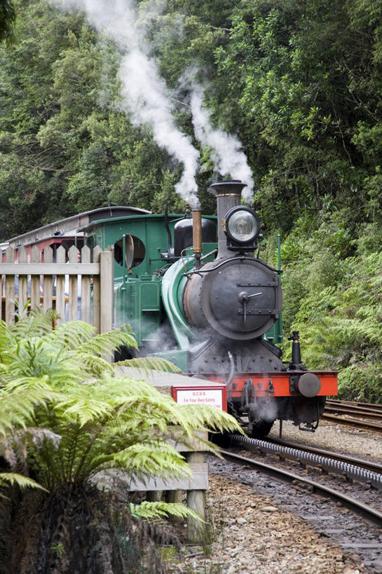 无人,竖图,室外,采矿业,路,铁路,火车,澳大利亚,轨道,交通,铁轨,历史,运输,摄影,修复,机车,塔斯马尼亚,蒸汽机车,彩图,传统文化,雨林