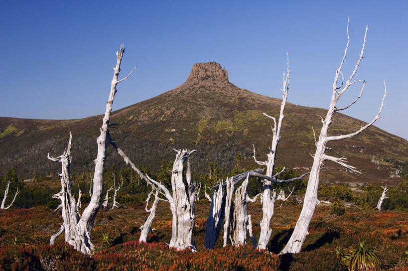 无人,竖图,旅游,探险,秘鲁,行人,游客,游人,巴士,双层巴士,路人,旅客,敞篷车,南美,摄影,拉丁美洲,过客,彩图,旅行