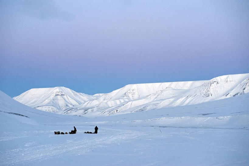 横图,室外,北极,山,雪,狗,挪威,欧洲,冰,地形,冬天,寒冷,摄影,活动,气象,雪橇,气候,斯堪的纳维亚,雪橇犬,斯堪狄纳维亚半岛,斯瓦尔巴德群岛,彩图,旅行