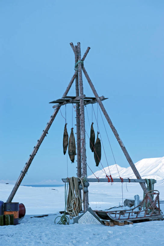 无人,横图,室外,北极,山,雪,车站,海豹,挪威,欧洲,药,冰,冬天,蓝色,寒冷,摄影,斯堪的纳维亚,陷阱,斯堪狄纳维亚半岛,斯瓦尔巴德群岛,烘干,彩图,旅行