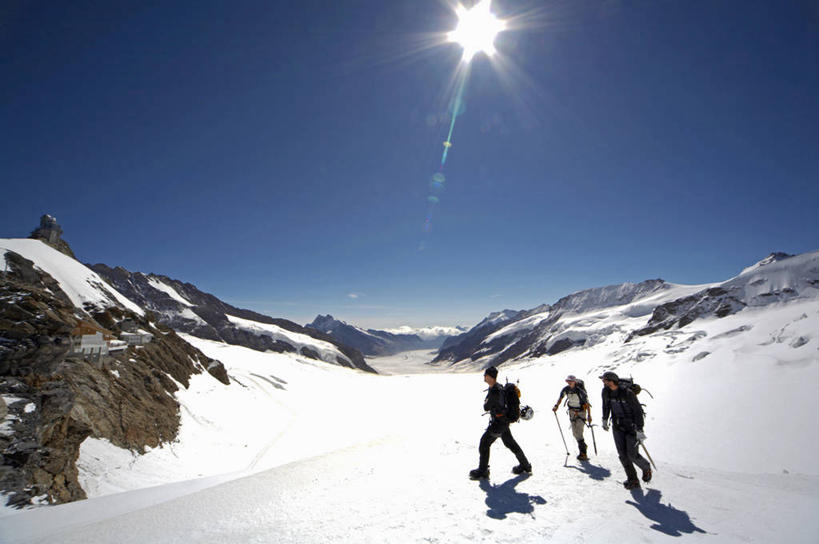 横图,室外,旅游,度假,运动,山,山脉,太阳,雪,瑞士,欧洲,行人,游客,游人,阴影,冰,娱乐,阿莱奇冰川,路人,旅客,享受,休闲,放松,摄影,生活方式,阿尔卑斯山脉,少女峰,瓦莱斯州,紫苑,过客,冒险,步行,彩图,冰隙