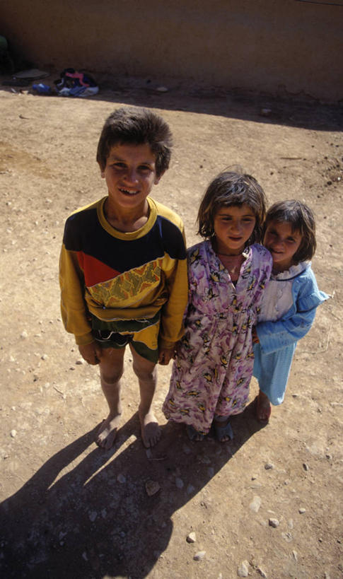 成年人,三个人,微笑,横图,快乐,叙利亚,田地,棉花,工人,衣服,社区,职业,摄影,女人,员工,彩图,传统服装,匠人,劳动者,体力工