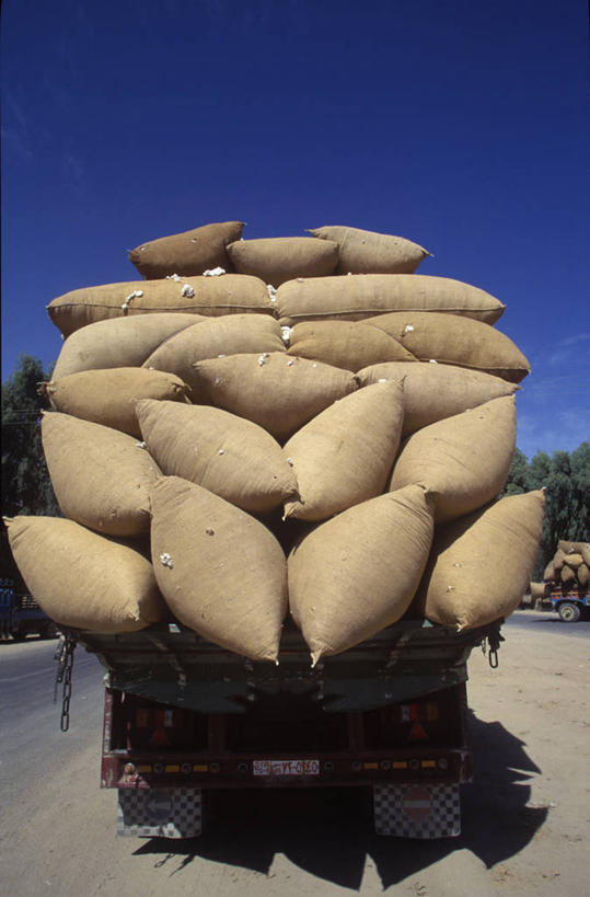 无人,竖图,卡车,叙利亚,运输,摄影,政府,彩图,旅行,递送