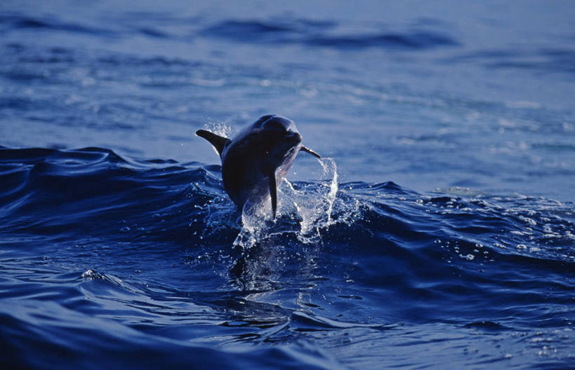 无人,教堂,横图,一群,许多,城镇,钟楼,塔,尖顶,很多,摄影,宗教,基督教,彩图,巴哈马群岛