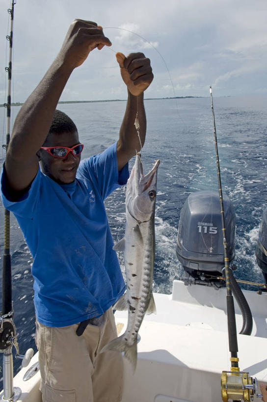 无人,横图,室外,飞机,澳大利亚,摄影,飞行器,大洋洲,澳洲,南方大陆,澳大利亚联邦,北领地,彩图,旅行