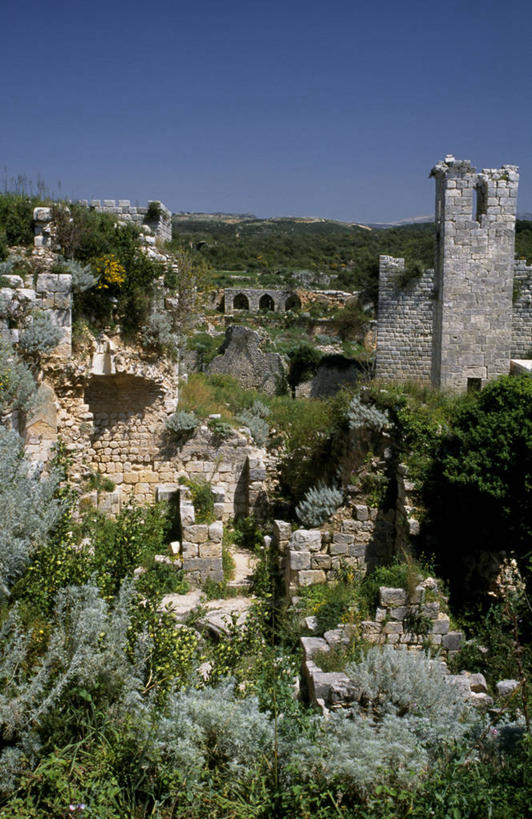 无人,横图,建筑,叙利亚,化石,城堡,历史,废墟,摄影,保护,要塞,护城河,阿勒颇,彩图