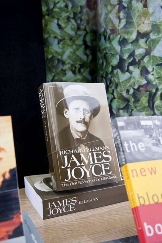 无人,图书馆,竖图,旅游,城市,爱尔兰,欧洲,首都,现代,布置,摄影,书,彩图,旅行,出版物