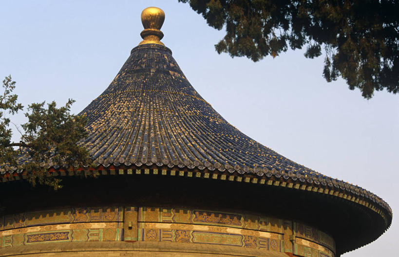 无人,横图,室外,夜晚,水,睡莲,叶子,加勒比海,巴巴多斯,岛,花,花瓣,大西洋,摄影,西印度群岛,彩图