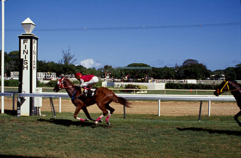 横图,锻炼,快乐,比赛,运动,竞争,马,巴巴多斯,娱乐,动物,休闲,摄影,西印度群岛,体育运动,获胜,体育,赛马,彩图,健身,径赛,策骑者,骑师,赛马骑师