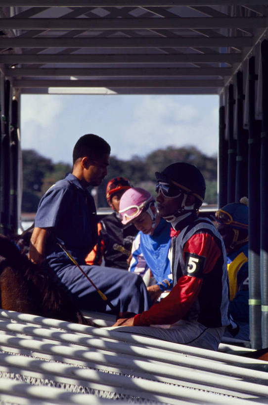 新郎,横图,锻炼,快乐,比赛,运动,竞争,马,巴巴多斯,娱乐,动物,休闲,摄影,西印度群岛,体育运动,带领,体育,赛马,彩图,健身,径赛,策骑者,骑师,赛马骑师