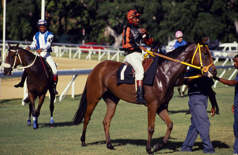 新郎,横图,锻炼,快乐,比赛,运动,竞争,马,巴巴多斯,娱乐,动物,休闲,摄影,西印度群岛,体育运动,带领,体育,赛马,彩图,健身,径赛,策骑者,骑师,赛马骑师