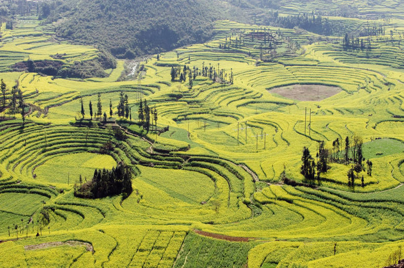 无人,家,横图,帽子,亚洲,房屋,乡村,黄色,摄影,宗教,佛教,中国文化,修道院,松赞林寺,云南省,香格里拉县,僧侣,彩图,旅行