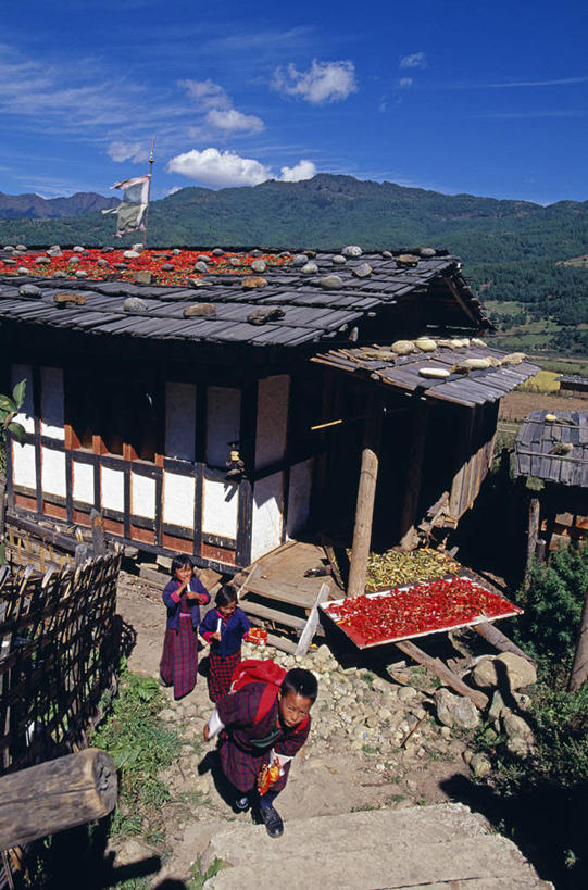 竖图,室外,农业,建筑,蔬菜,不丹,亚洲,食品,山谷,摄影,瘦身,食品加工厂,喜马拉雅山脉,烘干,彩图,传统文化