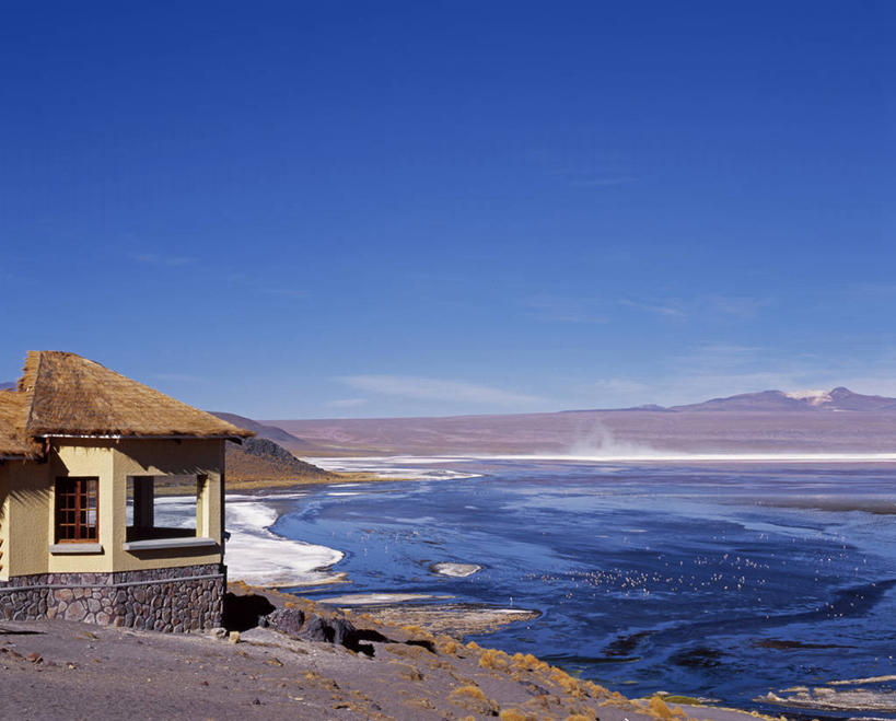 无人,横图,室外,湖,山,水,野生动物,玻利维亚,火烈鸟,鸟类,鸟巢,地形,红色,南美,摄影,考古学,藻类,拉丁美洲,安第斯红鹳,智利火烈鸟,安地斯山脉,地质学,矿物质,彩图,小屋