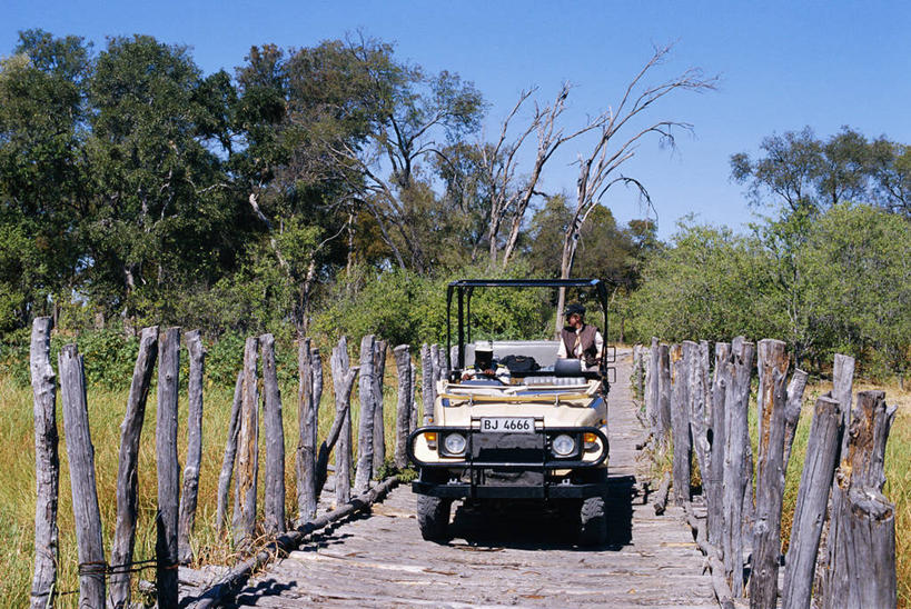 无人,横图,室外,路,非洲,博茨瓦纳,木制,桥,摄影,人造,四驱车,奥卡万戈三角洲,莫瑞米野生动物保护区,彩图