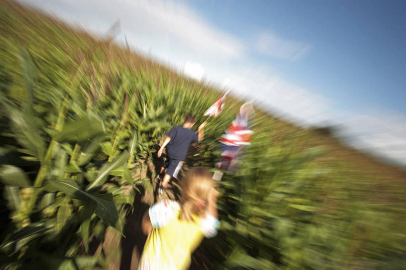 儿童,家庭,横图,室外,运动模糊,旅游,度假,游戏,探险,农作物,玉米,旗帜,日光,英国,欧洲,行人,游客,游人,曲折,弯曲,田地,谷类,玩,娱乐,英格兰,路人,旅客,夏天,休闲,放松,益智,摄影,蜿蜒,庞大,活动,复杂,发泄,消遣,智力,迷宫,迷路,英国文化,宣泄,繁杂,国家森林公园,过客,莱切斯特城,男孩,女孩,休闲活动,玩耍,嬉戏,彩图,旅行