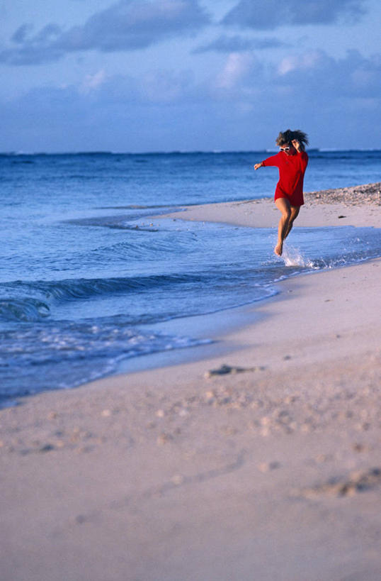 无人,寺庙,竖图,室外,森林,树林,台湾,木制,雪松,树,树干,红色,自然,摄影,宗教,佛教,考古学,宗教建筑,中国文化,亭台楼阁,国家森林公园,休闲活动,彩图