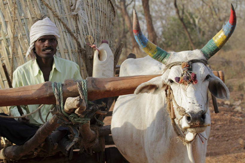 儿童,跑,推,横图,美景,玩具,印度,亚洲,景观,乡村,自然,赤脚,景色,活力,摄影,动作,简单,自然风光,男孩,女孩,彩图,旅行,传统文化