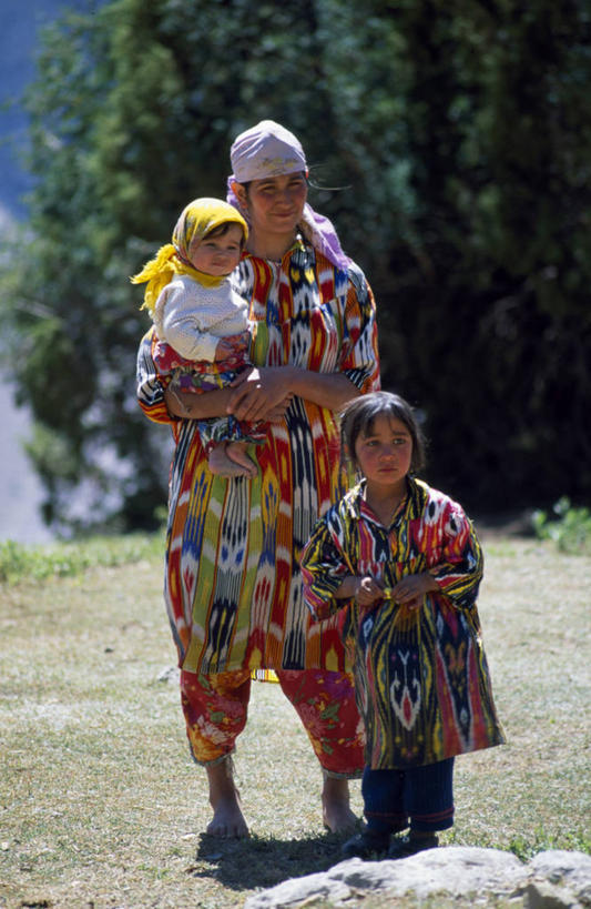 成年人,竖图,农业,印度,亚洲,职业,摄影,关爱,游行,带领,亚洲象,喀拉拉邦,跟随,孤儿,男人,男性,象,步行,彩图,旅行