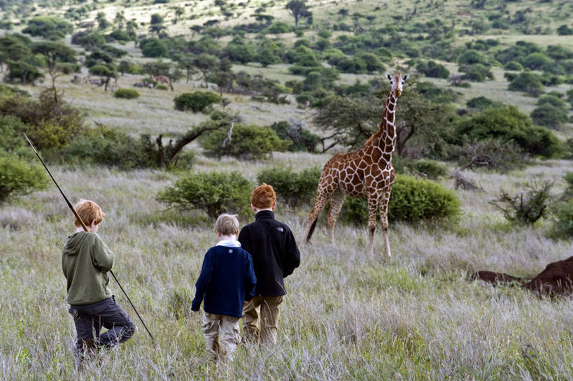 儿童,家庭,横图,旅游,度假,互联网,哺乳动物,长颈鹿,野生动物,非洲,肯尼亚,娱乐,动物,享受,休闲,放松,摄影,活泼,食草动物,生态,考古学,索马里亚长颈鹿,网纹长颈鹿,冒险,男孩,彩图,旅行