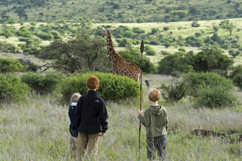 无人,横图,哺乳动物,野生动物,非洲,肯尼亚,捕食,动物,摄影,考古学,猎豹,彩图,旅行
