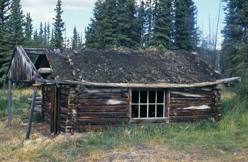 无人,横图,河流,森林,树林,窗户,加拿大,小的,化石,木制,房屋,树,摄影,住房,圆木,育空地区,彩图,钓鱼,小木屋,小屋,育空河