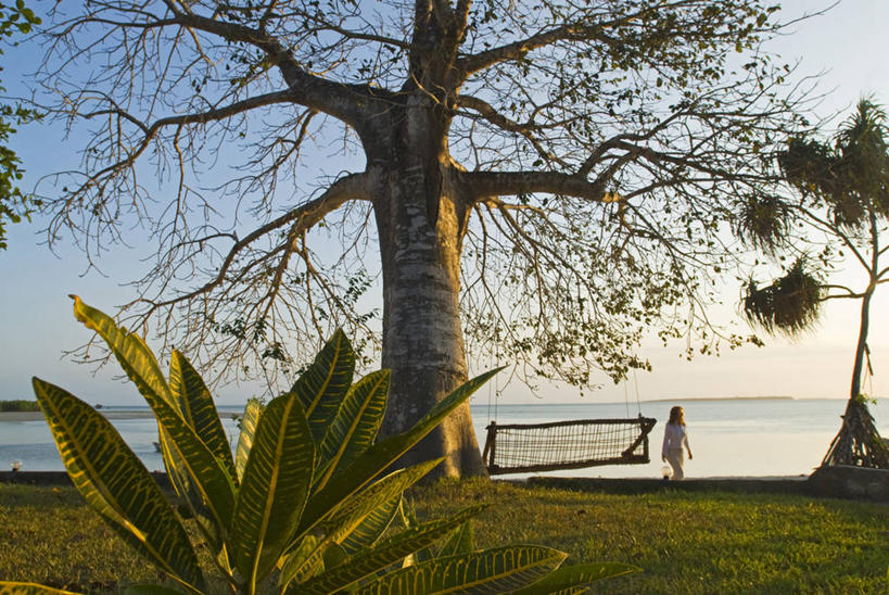 成年人,横图,室外,度假,非洲,坦桑尼亚,沙子,岛,海岸线,树,荡秋千,放松,摄影,东非,桑吉巴尔,女人,海滩,休闲活动,步行,彩图