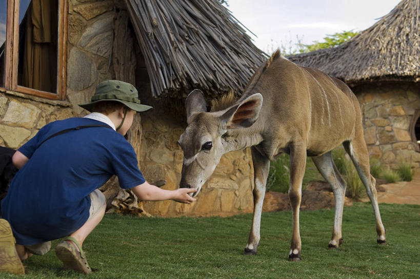 无人,横图,室外,度假,美景,水,城市风光,城市,建筑,酒店,景观,塔,娱乐,享受,休闲,景色,放松,摄影,照亮,华贵,反差,阿拉伯联合酋长国,迪拜,波斯湾,休闲活动,彩图,帆船酒店,广角拍摄