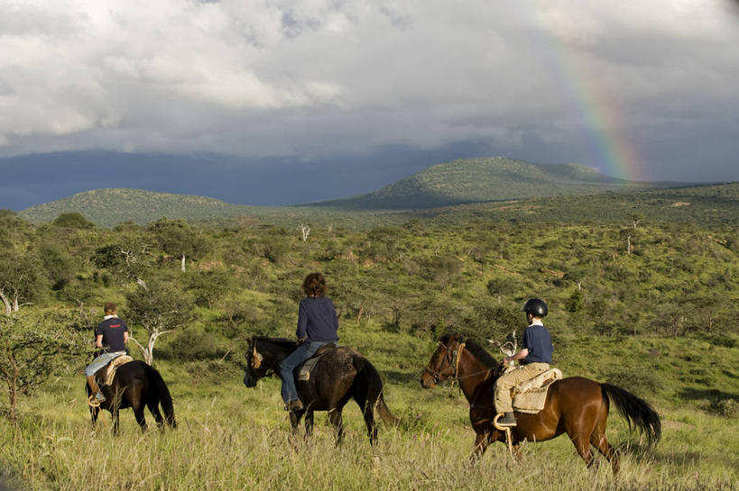 无人,横图,室外,山,山脉,植物,非洲,乌干达,苔藓,摄影,考古学,山脊,山口,彩图