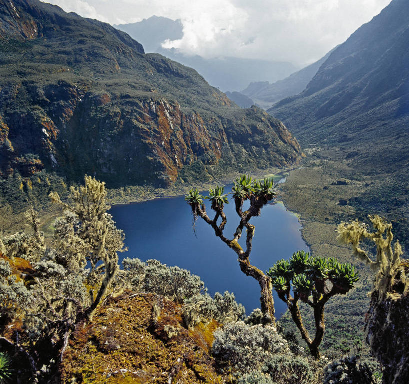 无人,横图,非洲,乌干达,苔藓,摄影,彩图